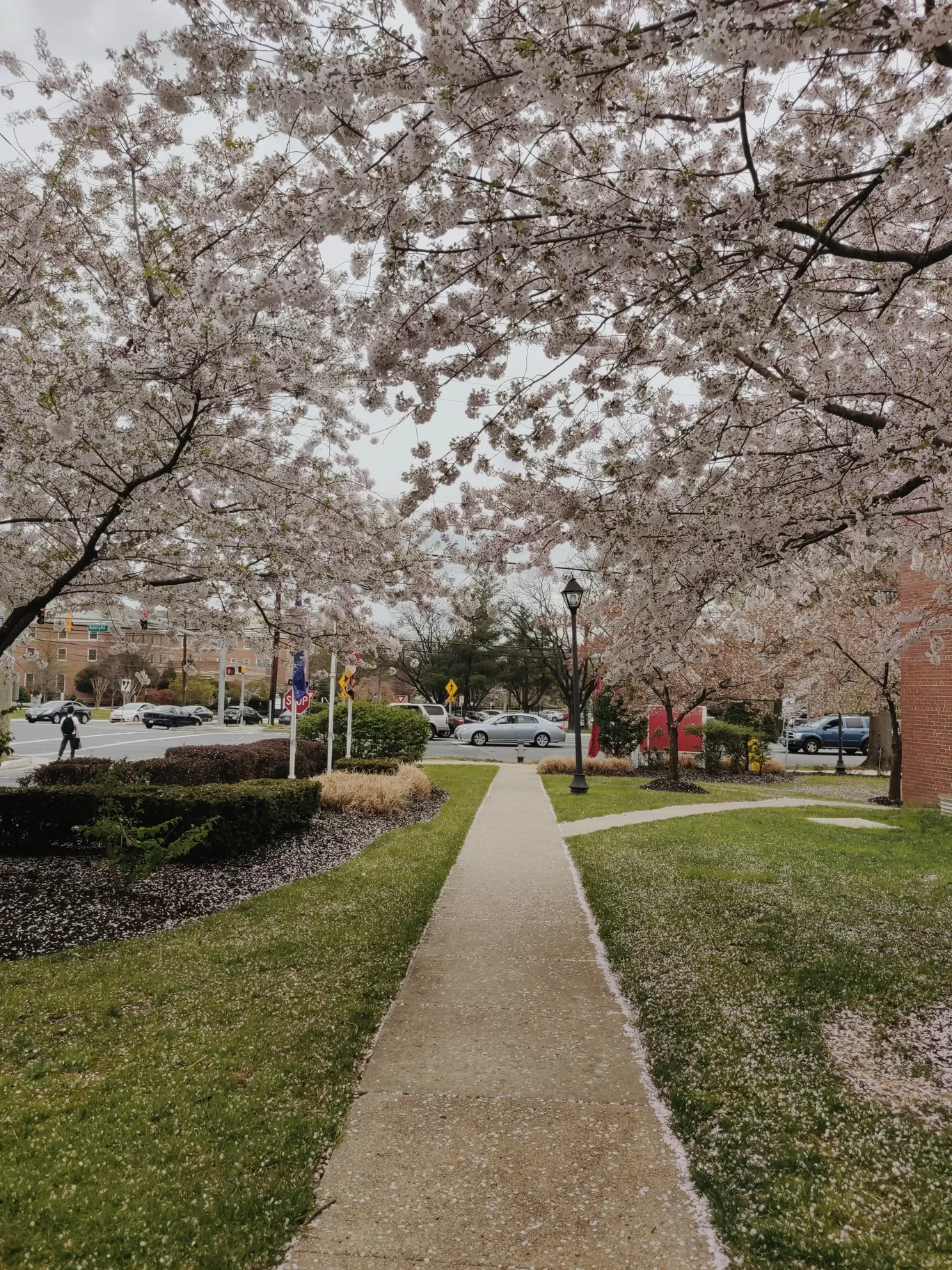 Photo of Washington By Kalpita Raut