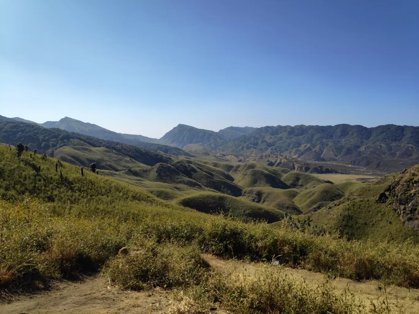 Photo of Dzükou Valley By Sayan De