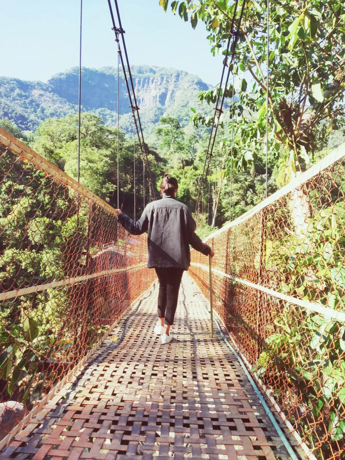 Photo of Jingkieng Nongriat Double Decker Living Root Bridge By Ritika Verma