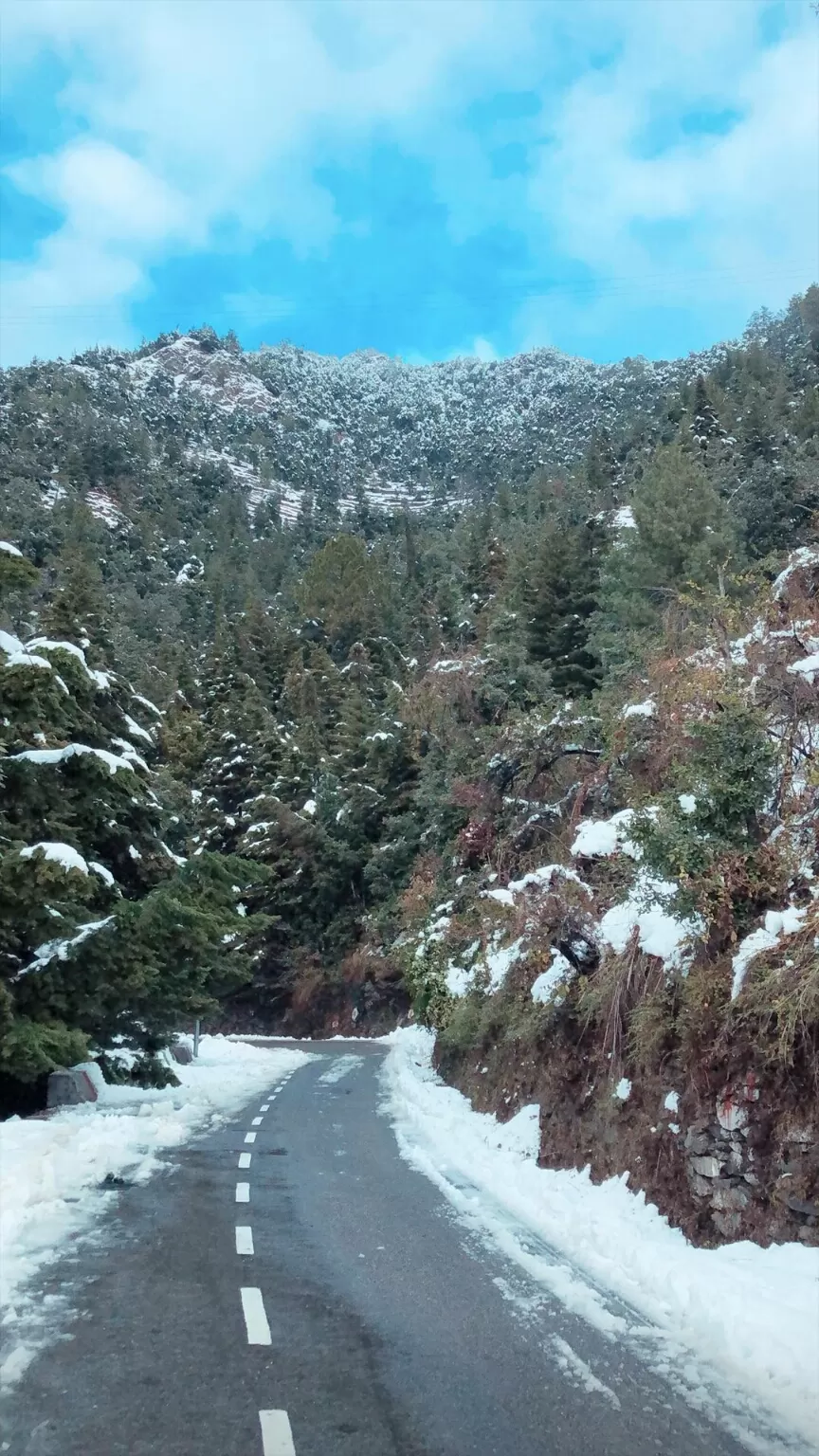 Photo of Dhanaulti By Amitra Negi