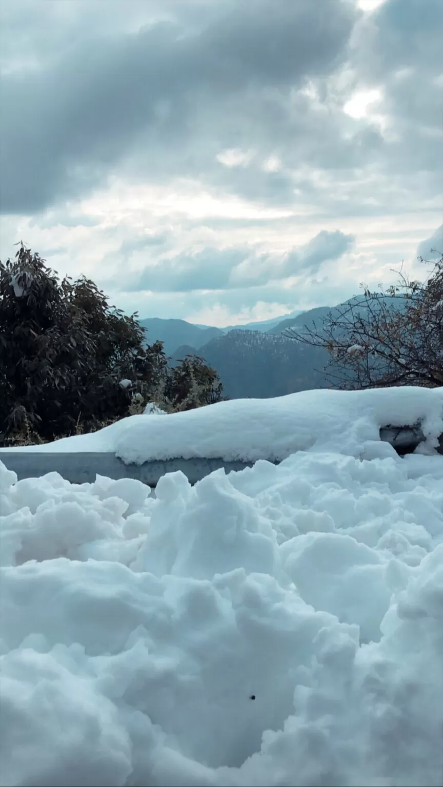 Photo of Dhanaulti By Amitra Negi