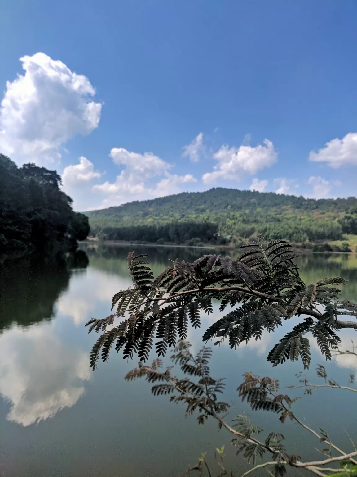 Photo of Chikmagalur By Deepak Bhardwaj