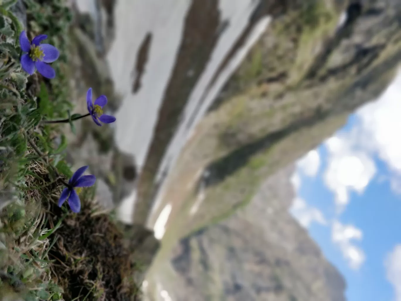 Photo of Hampta Pass Trek Camp Himalayan Mountain Sojourns By Vedant Patel