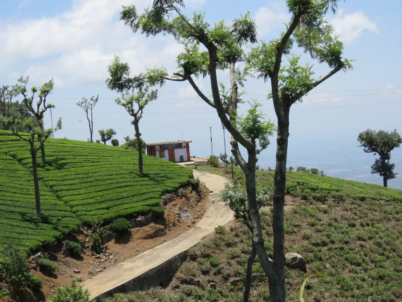 Photo of Ooty By Sh@ron V@rgh€$€