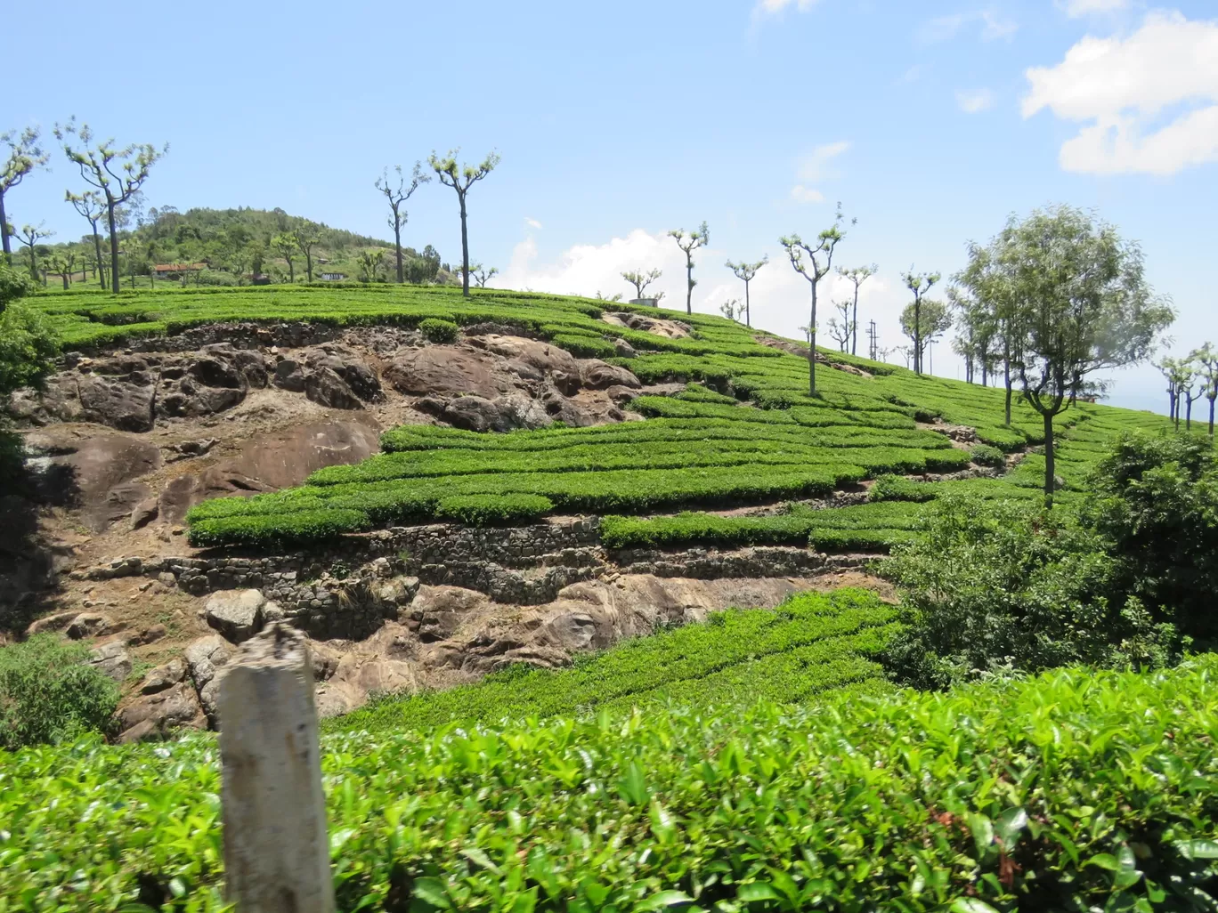 Photo of Ooty By Sh@ron V@rgh€$€