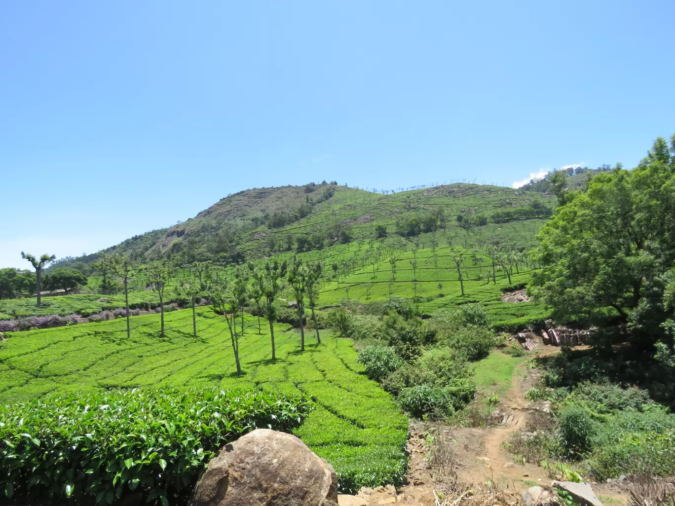 Photo of Ooty By Sh@ron V@rgh€$€