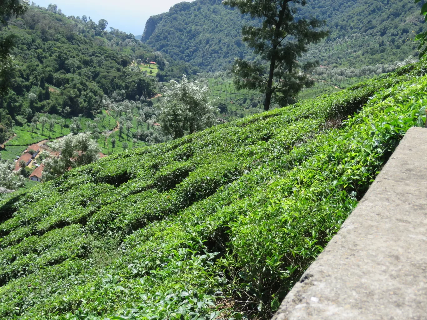 Photo of Ooty By Sh@ron V@rgh€$€