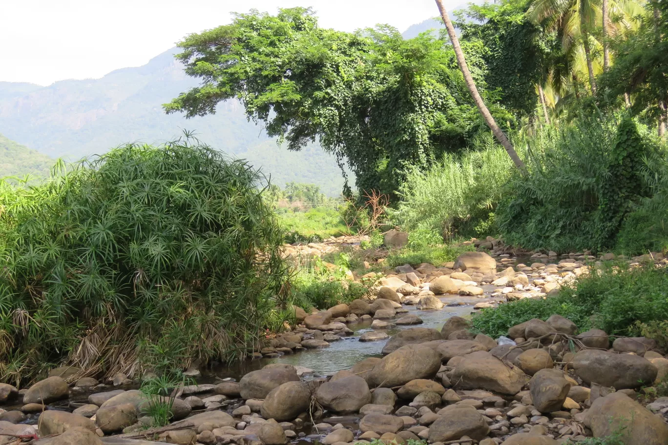 Photo of Ooty By Sh@ron V@rgh€$€
