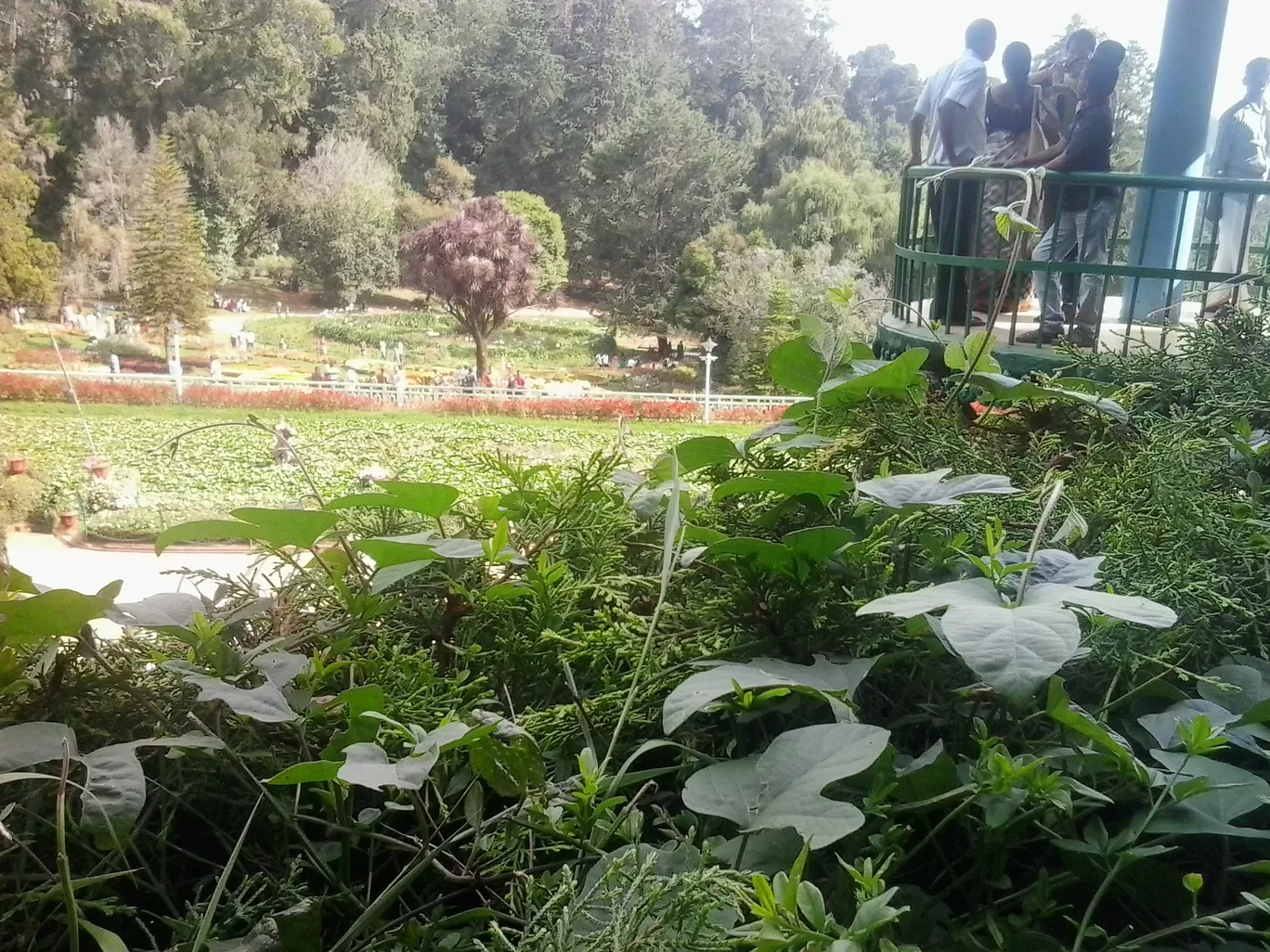 Photo of Ooty By Sh@ron V@rgh€$€