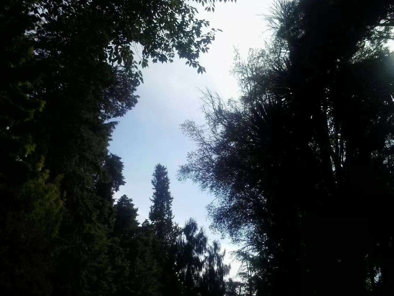 Photo of Ooty By Sh@ron V@rgh€$€