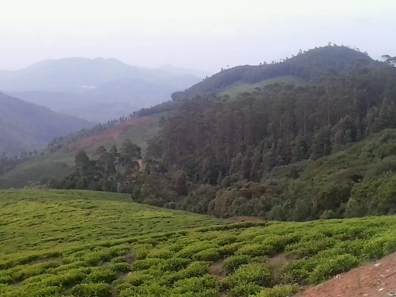 Photo of Ooty By Sh@ron V@rgh€$€