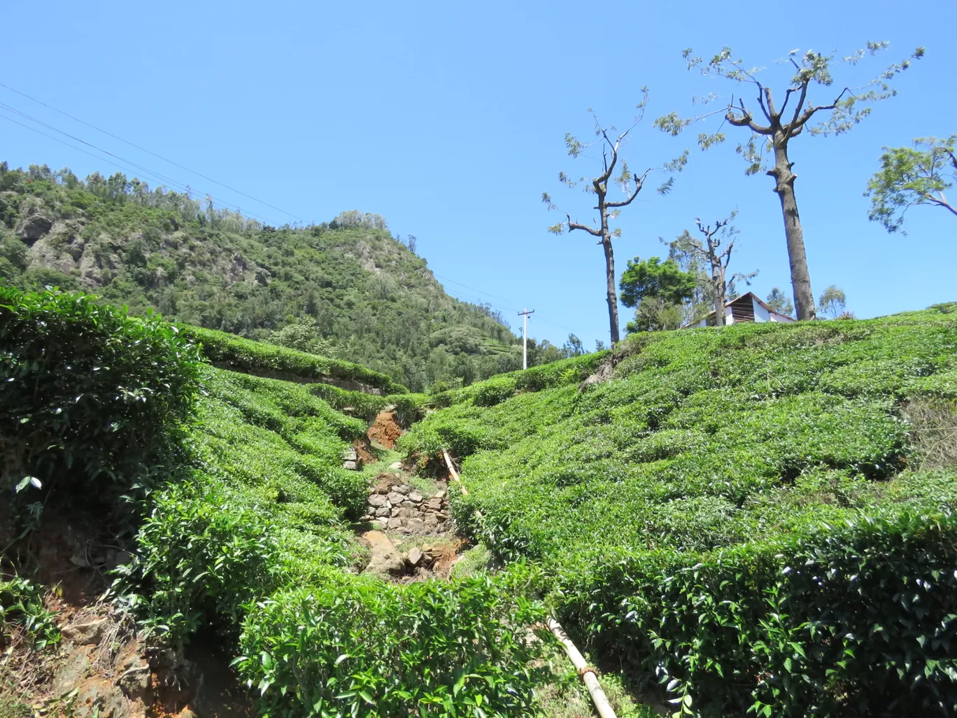 Photo of Ooty By Sh@ron V@rgh€$€