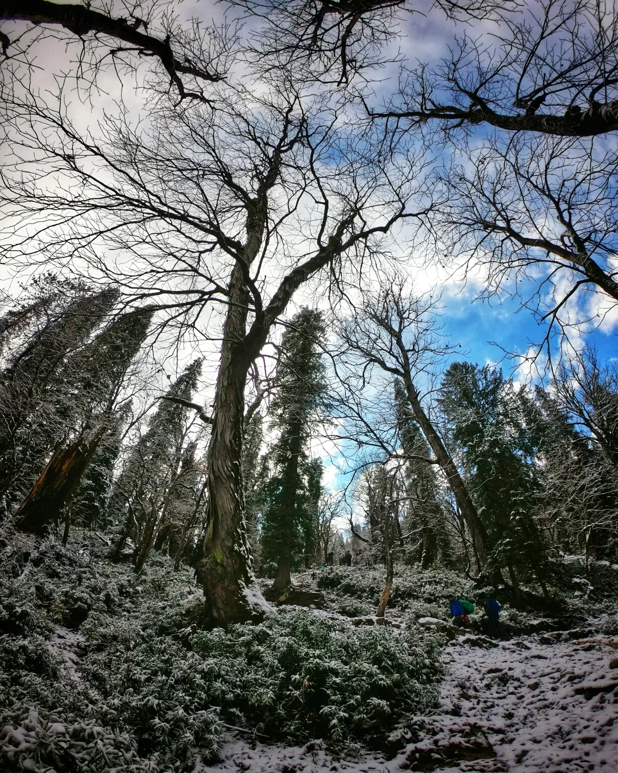 Photo of Kedarkantha Trek By Akshay Periyadan