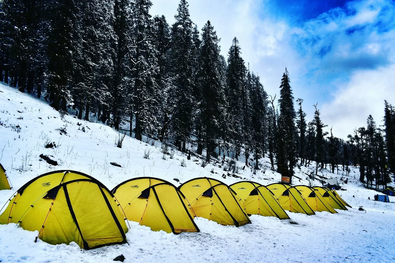 Photo of Kedarkantha Trek By Akshay Periyadan