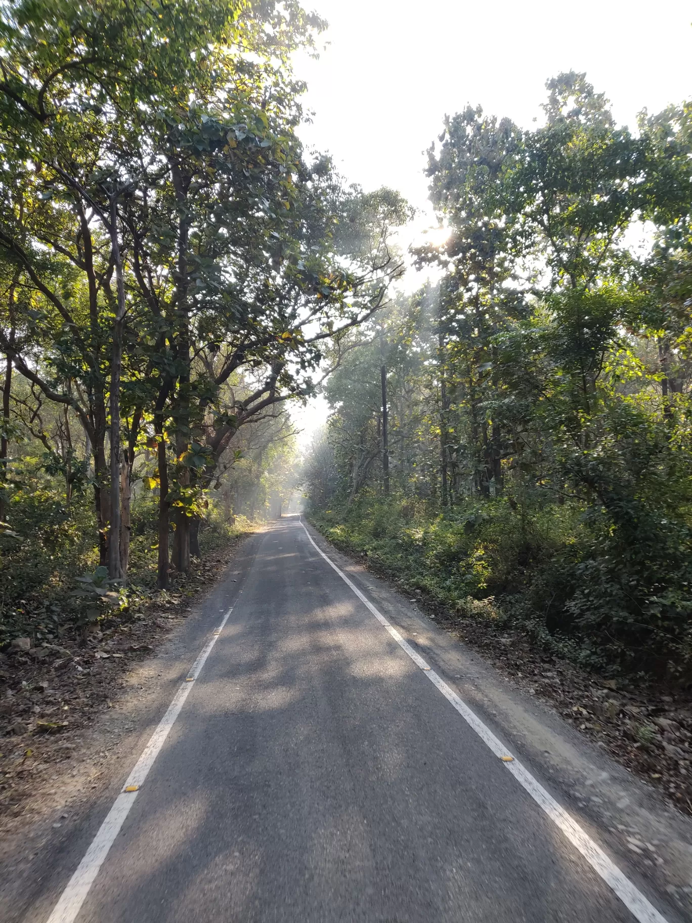 Photo of Jim Corbett National Park By Ibrahim Kherodawala