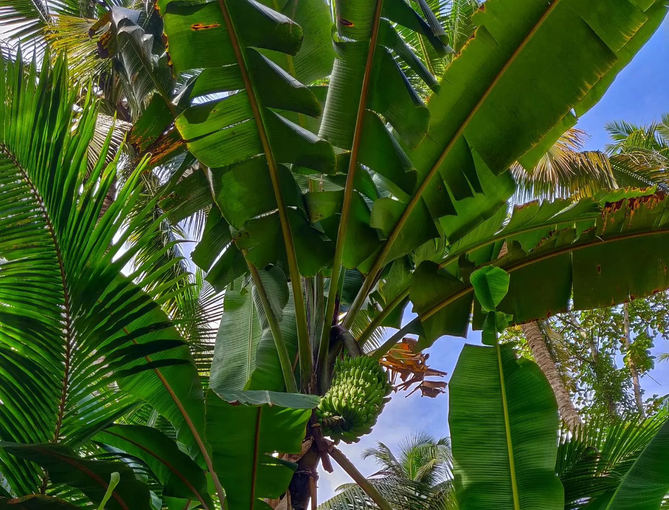 Photo of Munroe Island By Hina Nainani