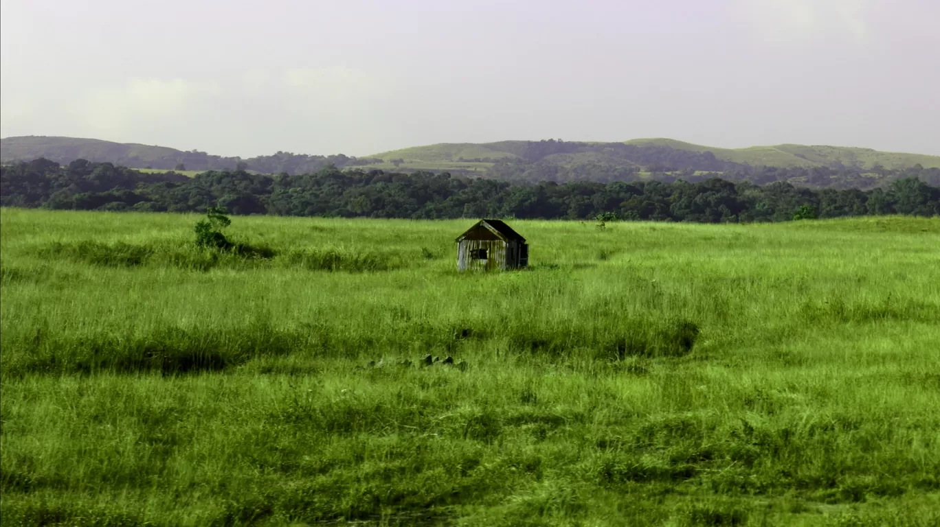 Photo of Meghalaya By Sachin Mohan