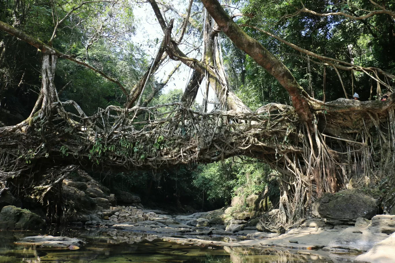Photo of Meghalaya By Sachin Mohan
