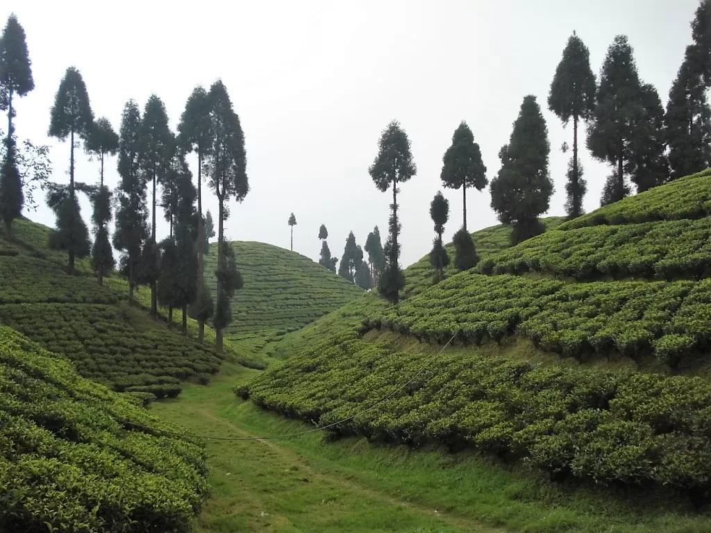 Photo of Sikkim By Pushpak Apte