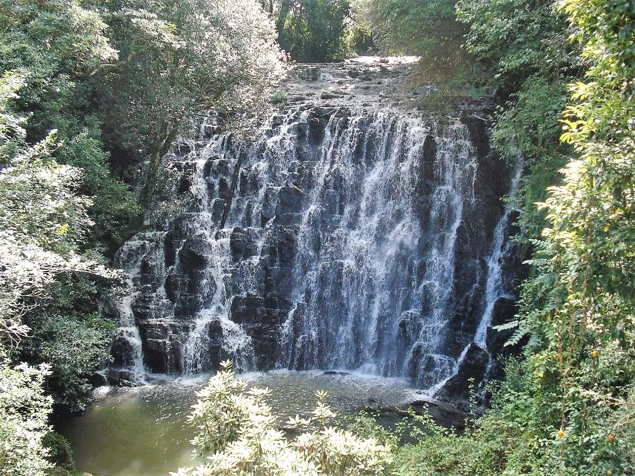 Photo of Cherrapunjee By Pushpak Apte