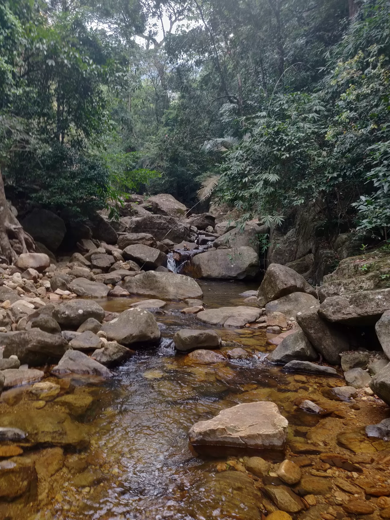 Photo of Agasthyarkoodam (അഗസ്ത്യാർകൂടം) By saran g prakash