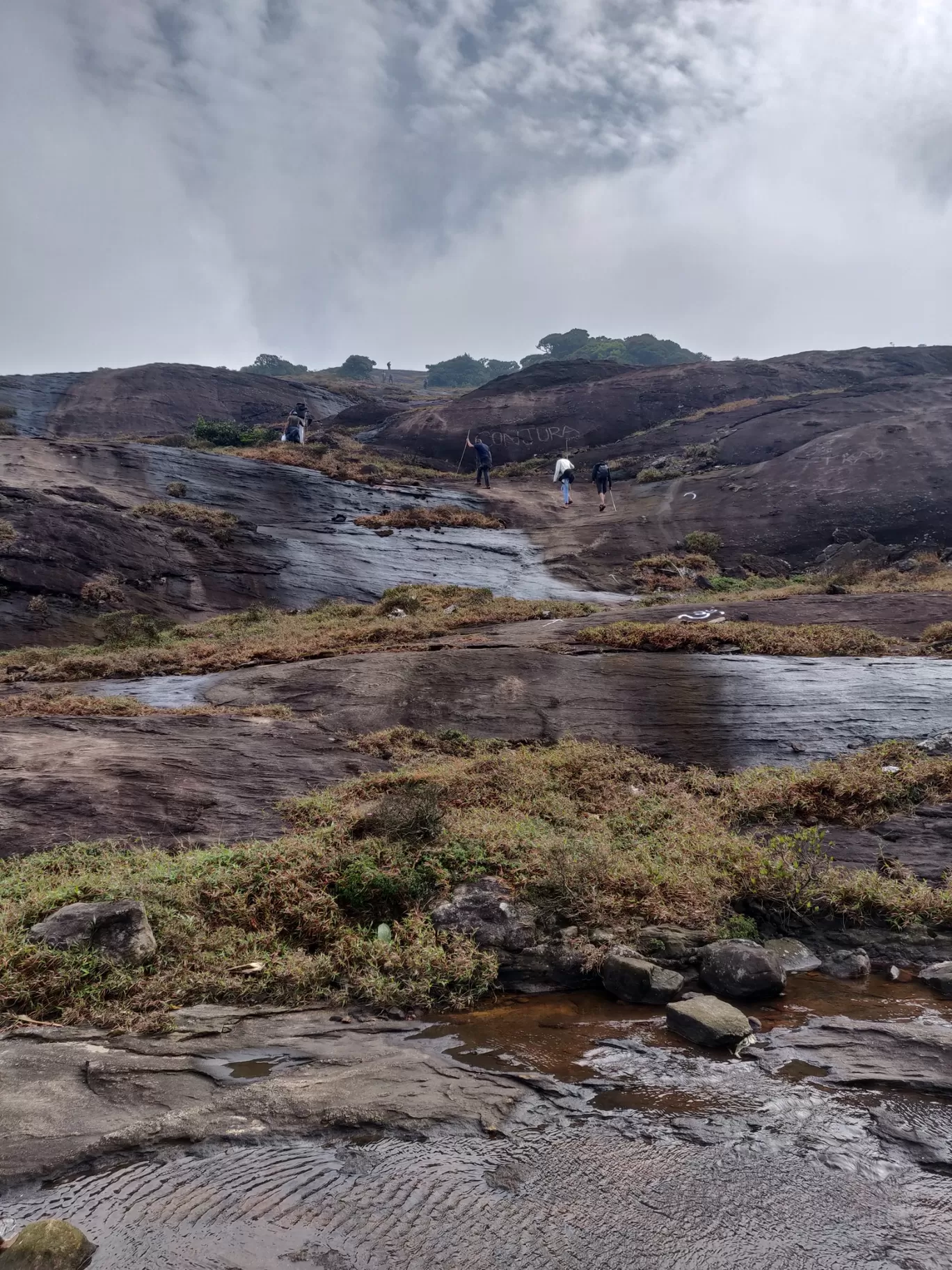 Photo of Agasthyarkoodam (അഗസ്ത്യാർകൂടം) By saran g prakash