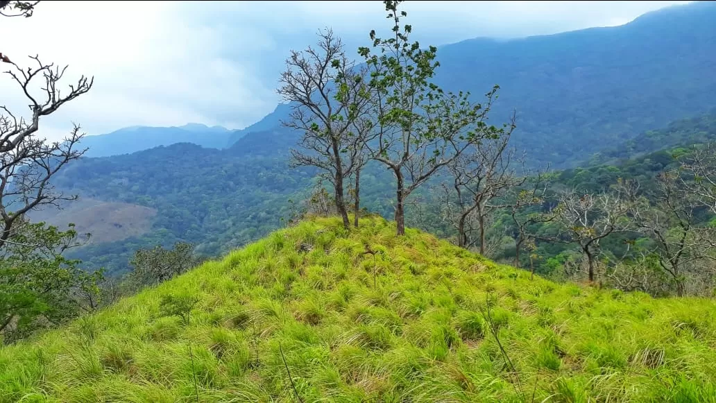 Photo of Agasthyarkoodam (അഗസ്ത്യാർകൂടം) By saran g prakash