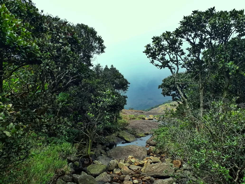 Photo of Agasthyarkoodam (അഗസ്ത്യാർകൂടം) By saran g prakash