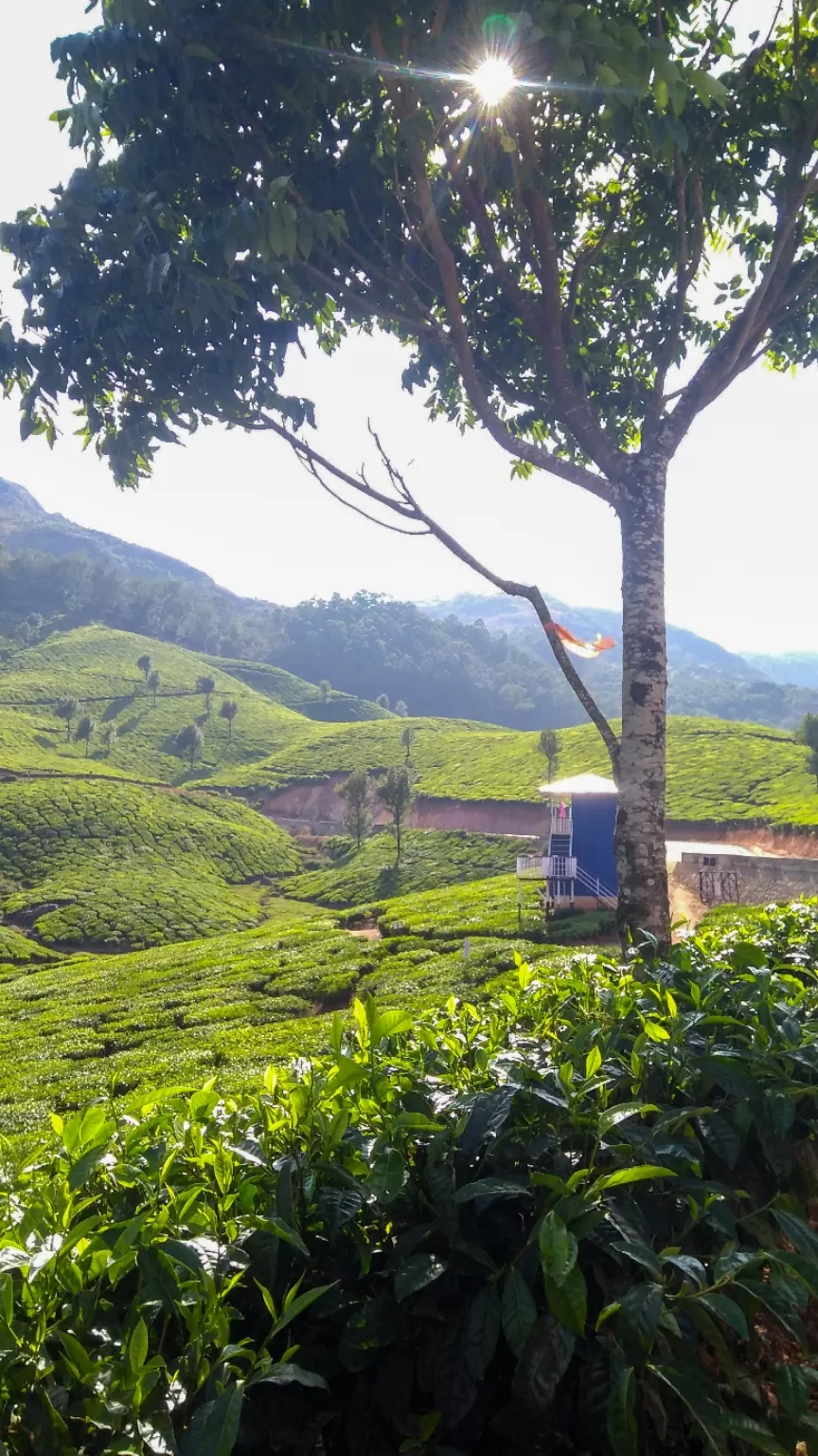 Photo of Munnar By Leisure Traveller