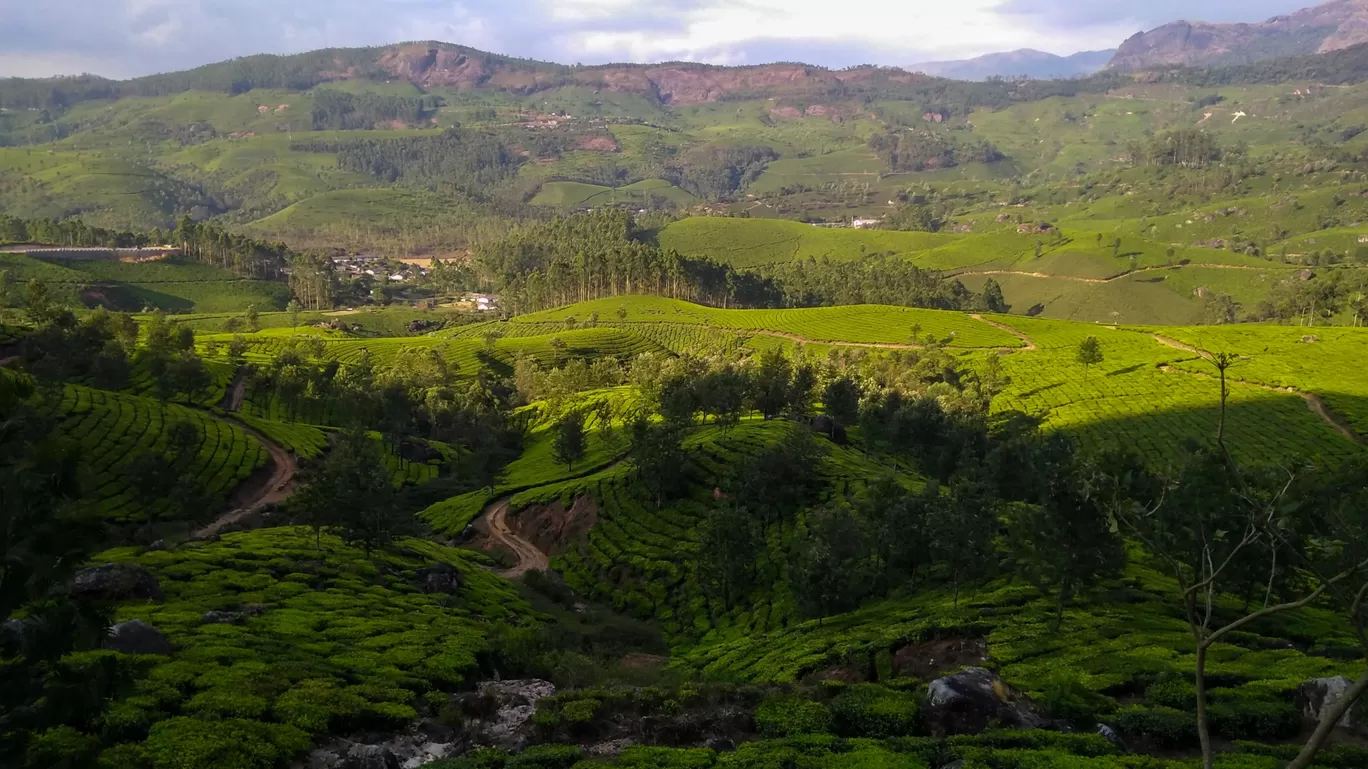 Photo of Munnar By Leisure Traveller