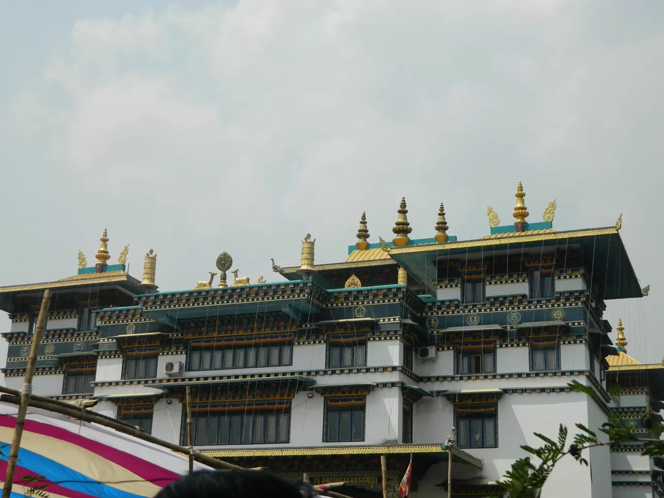 Photo of Jiranga By Avinash Patra