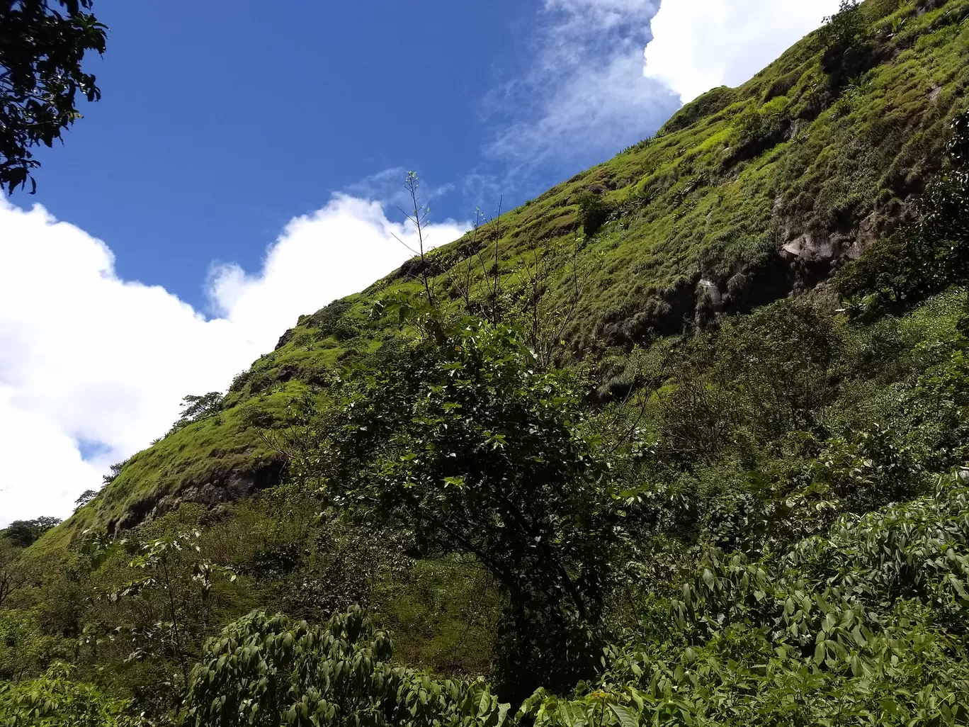Photo of Tung Fort By Avinash Patra