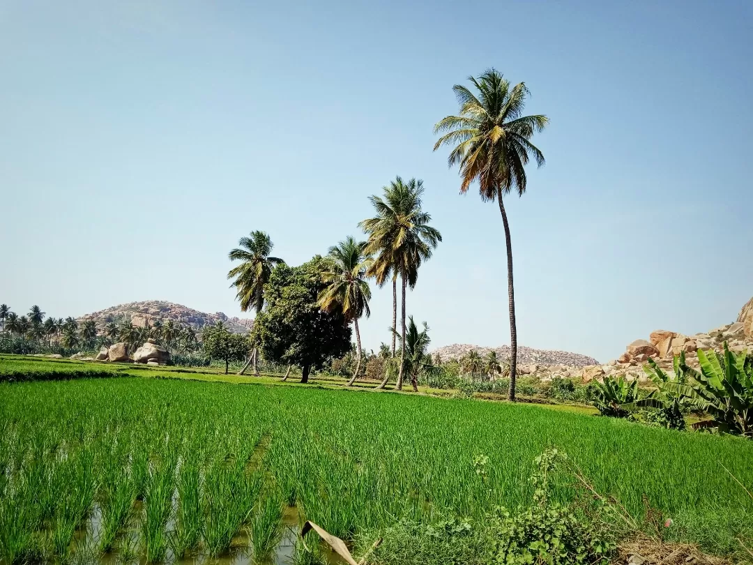 Photo of Hampi By Smita Lashkare