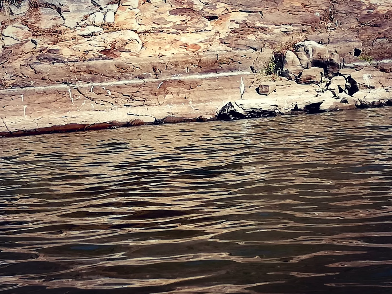 Photo of Siliserh Lake By Saumya Adhikari