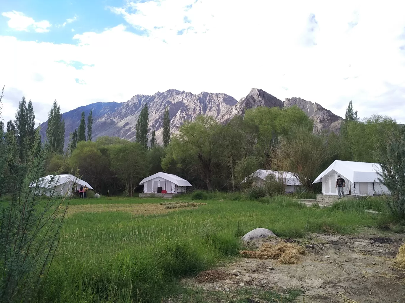 Photo of Leh By Pradnya Shende