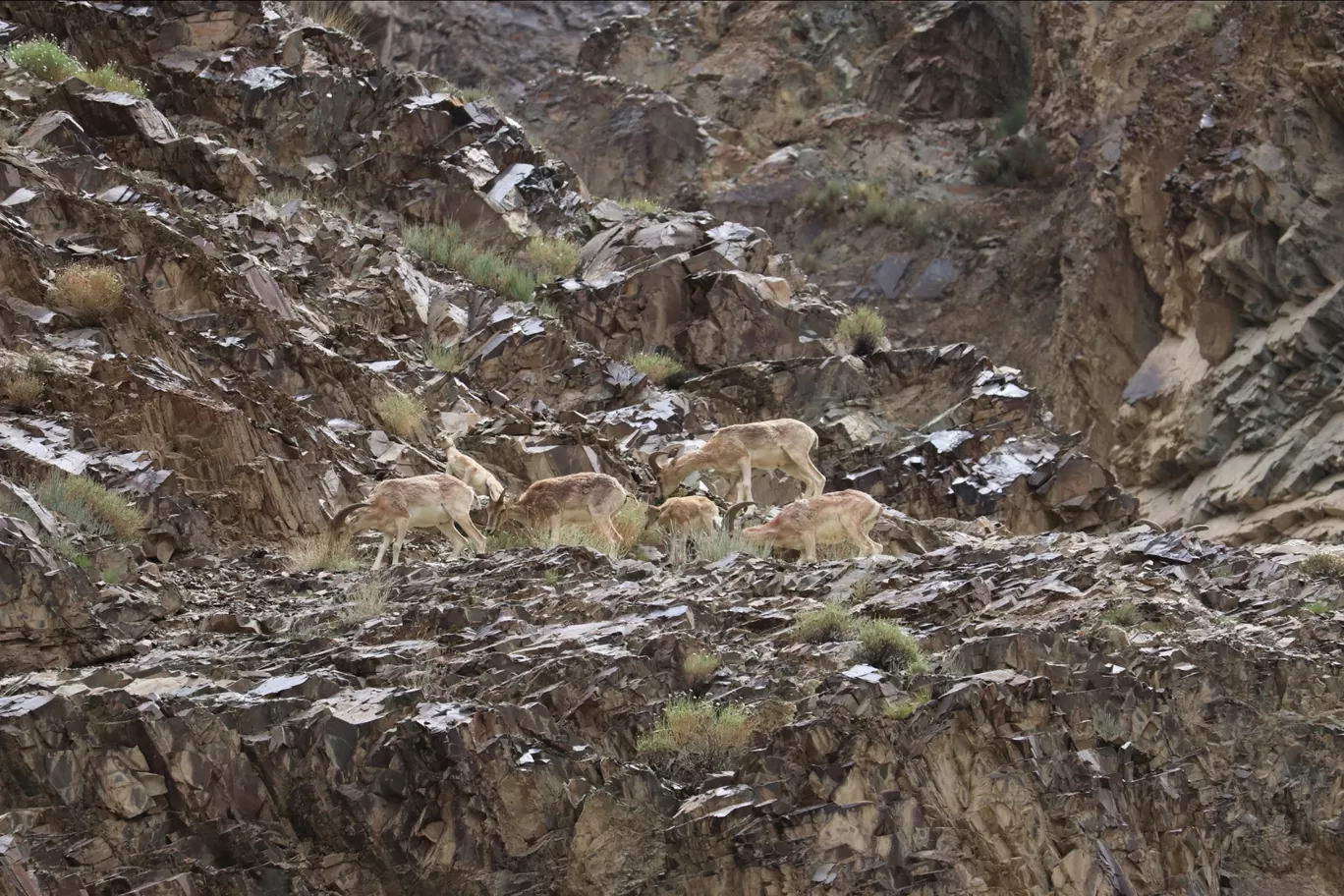 Photo of Leh By Pradnya Shende