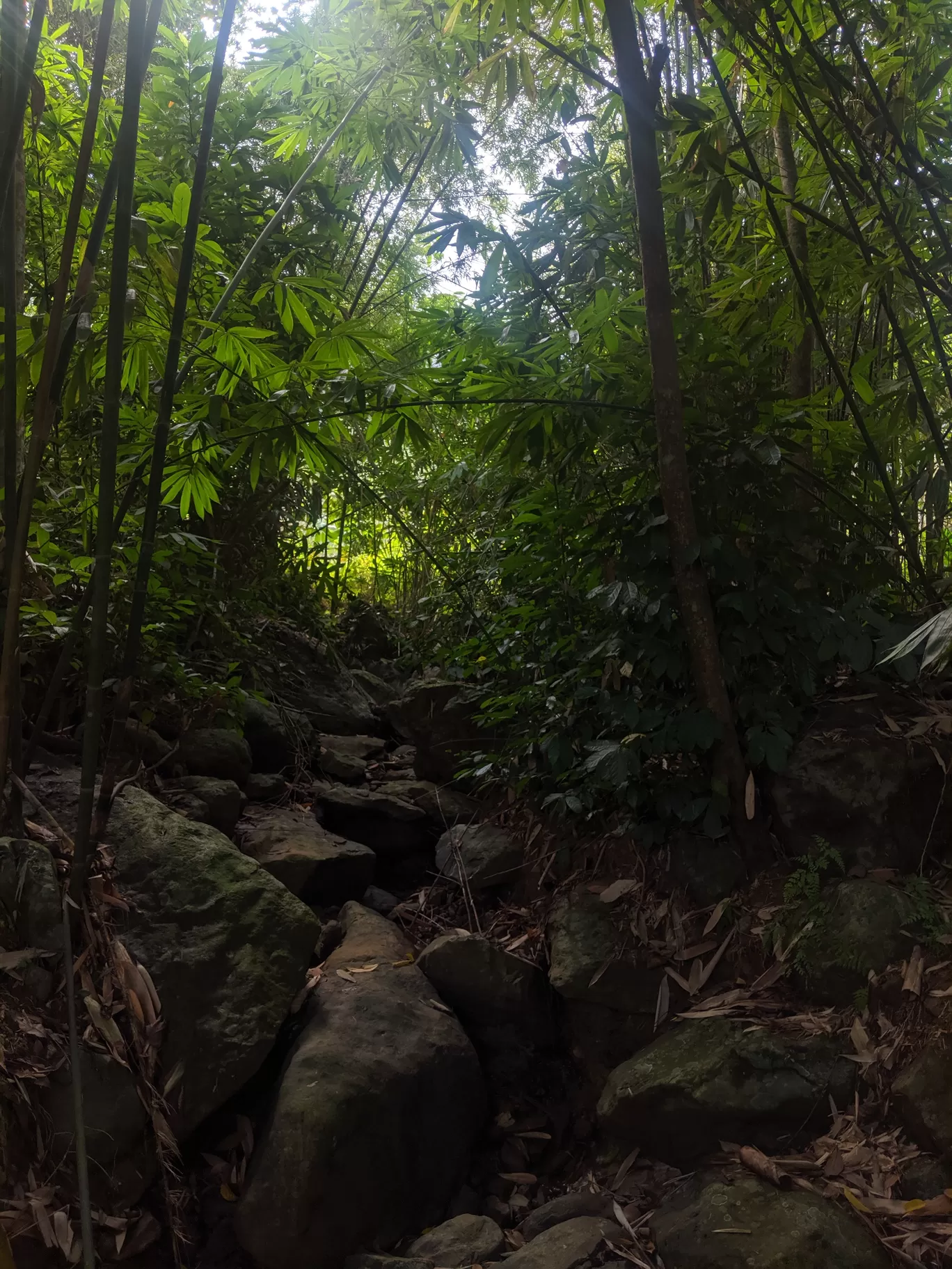 Photo of Mai Châu By seasaltinmyeyes