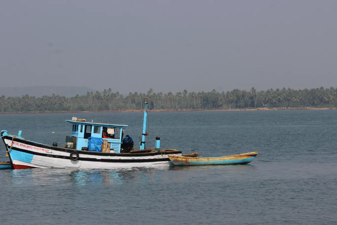 Photo of Chapora Fish Market By Ajit