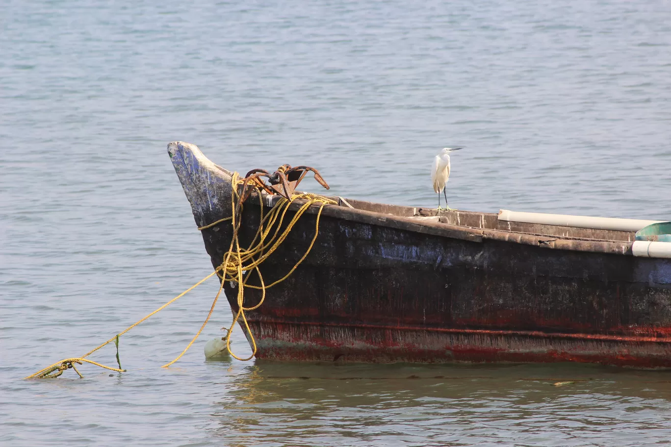 Photo of Chapora Fish Market By Ajit