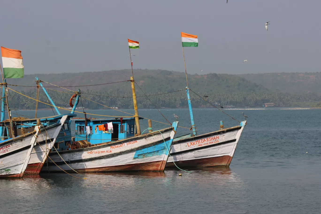 Photo of Chapora Fish Market By Ajit