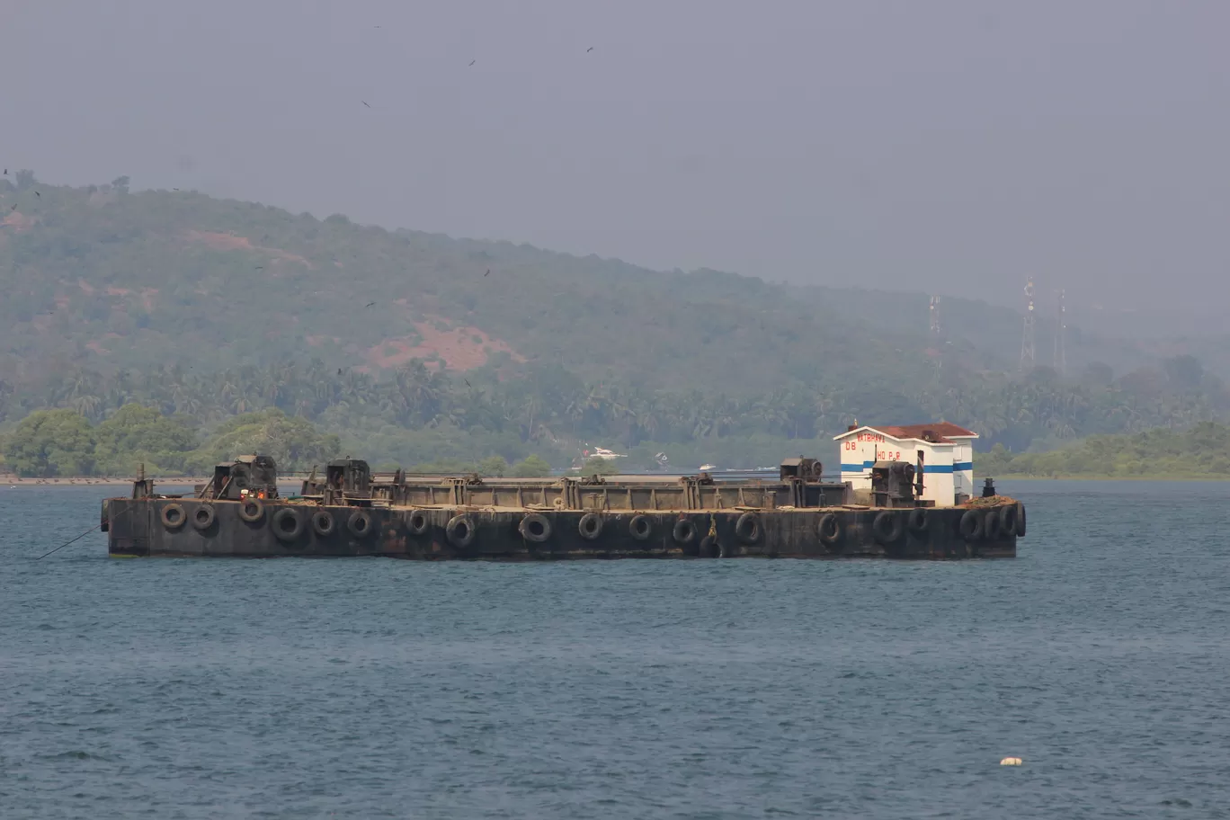 Photo of Chapora Fish Market By Ajit
