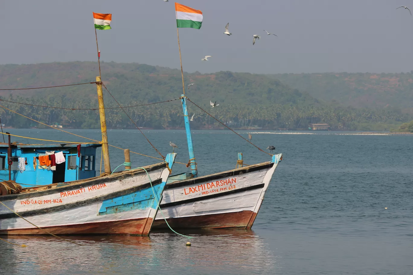 Photo of Chapora Fish Market By Ajit