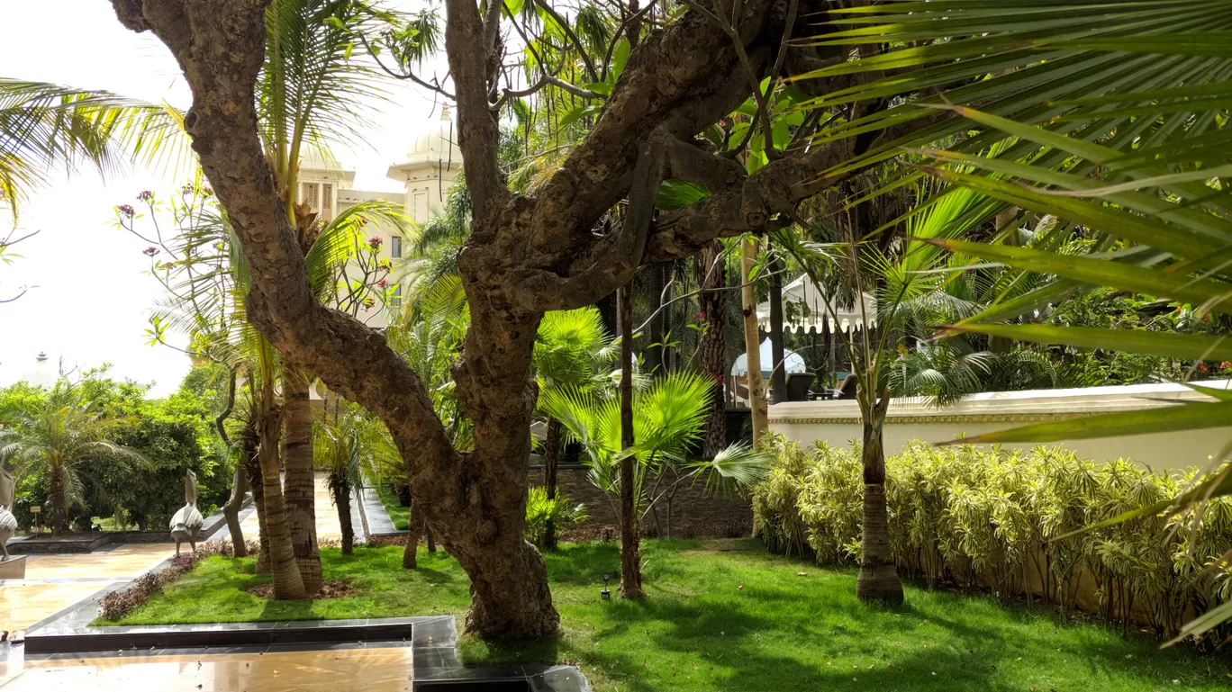 Photo of The Leela Palace Udaipur By vidit singhvi