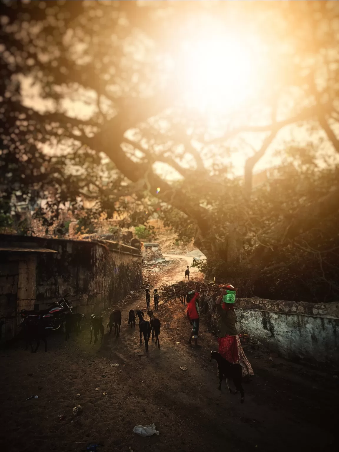 Photo of Ekling Ji Temple By vidit singhvi