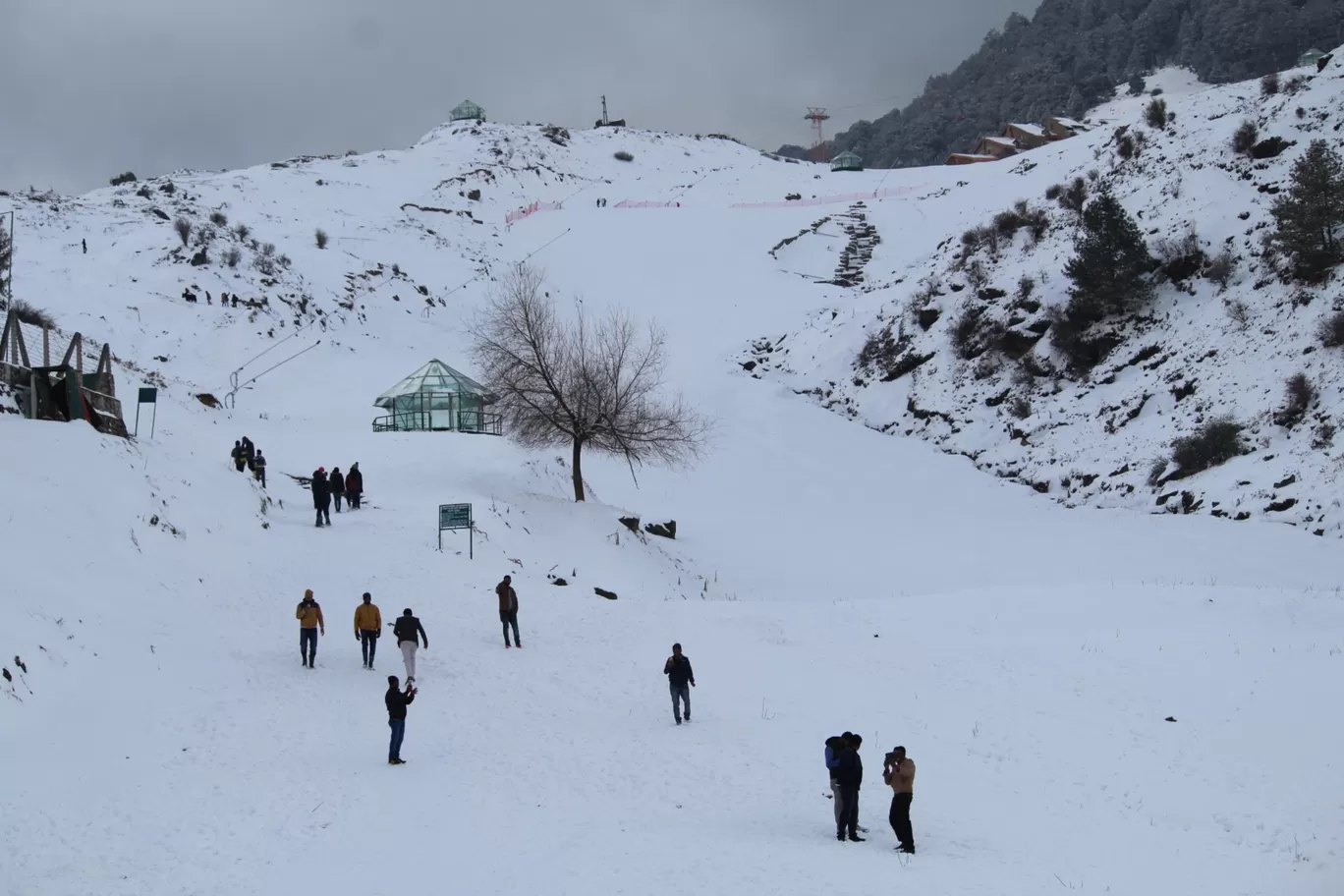 Photo of Auli Laga Joshimath By Karan Rawat