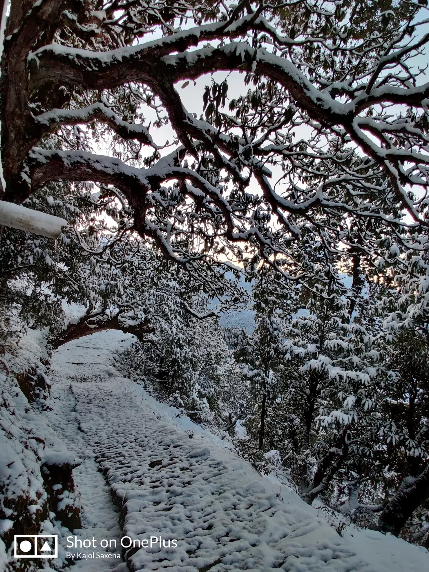 Photo of Deoria Tal By Kajol Saxena