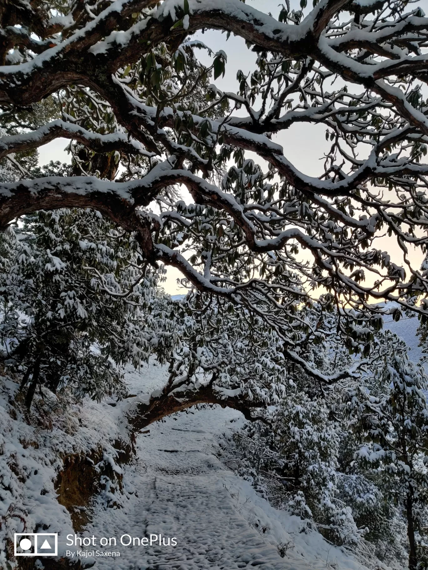 Photo of Deoria Tal By Kajol Saxena