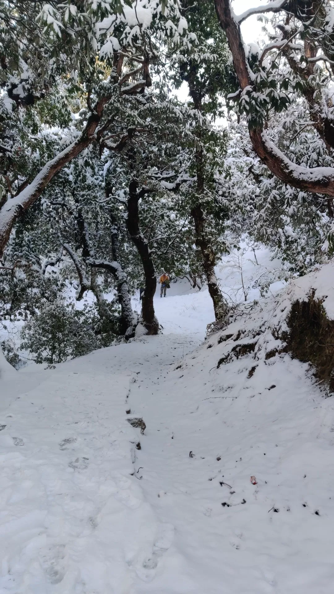 Photo of Deoria Tal By Kajol Saxena
