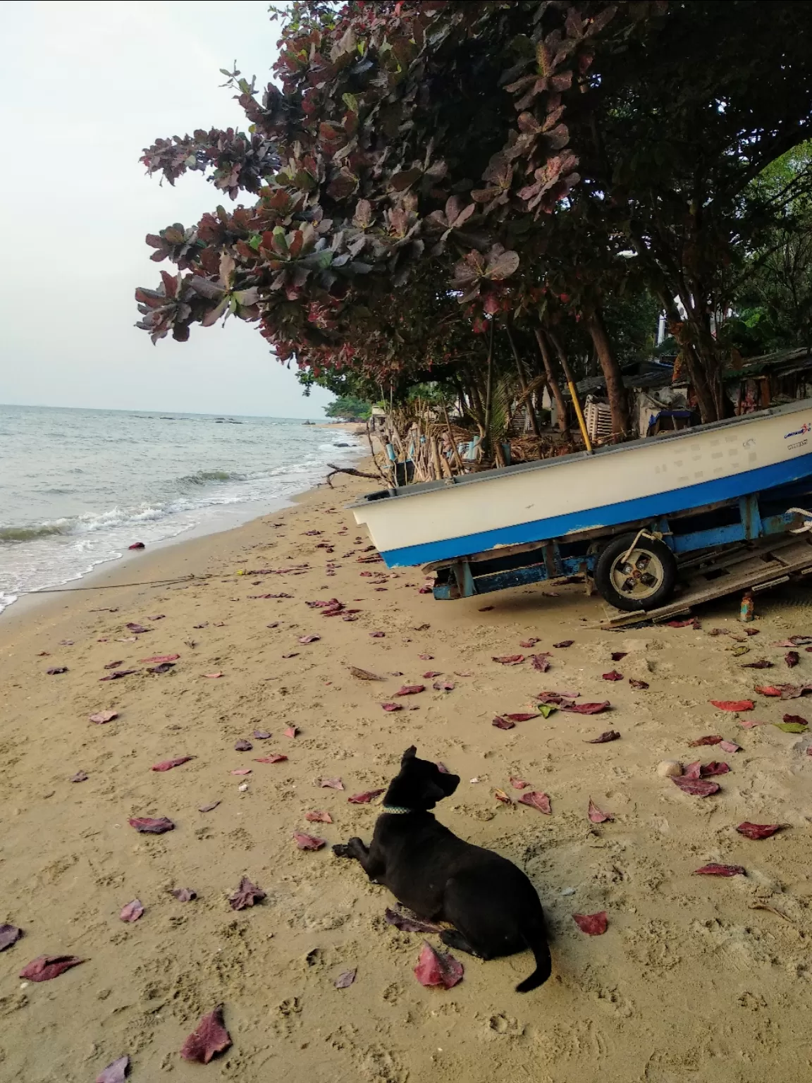Photo of Pattaya City By balraj b
