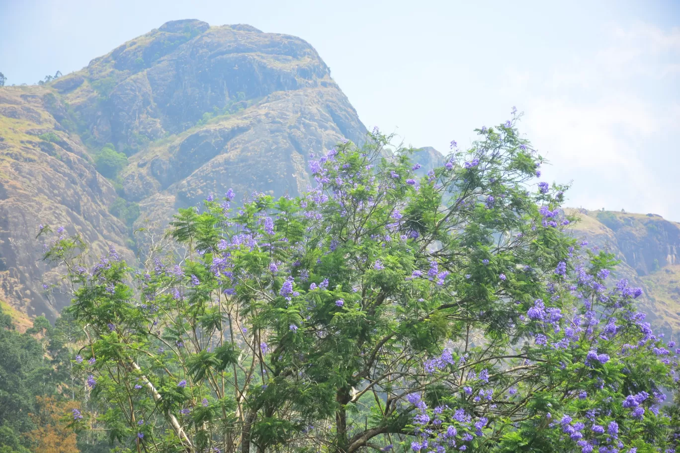 Photo of Munnar By Hrithu Raj